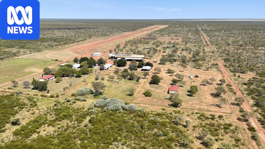 NT's Benmara cattle station sold for millions less than expected as carbon dreams crash