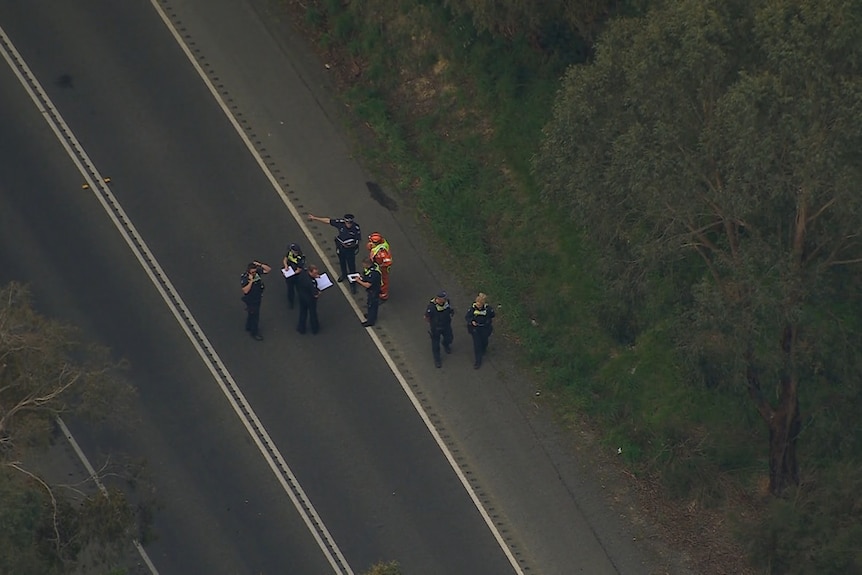 A number of police officer stand on a rural highway near trees.