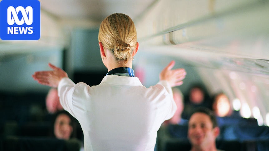 Radiation-related cancer deaths more common in aircrew than other occupations, study finds