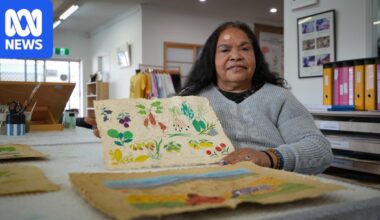 New art exhibition to shine spotlight on invasive weed driving out native species in Alice Springs