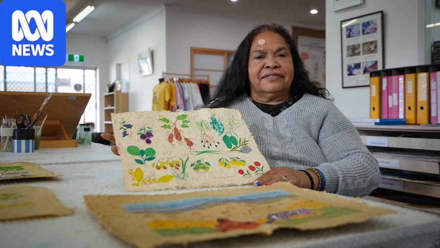 New art exhibition to shine spotlight on invasive weed driving out native species in Alice Springs