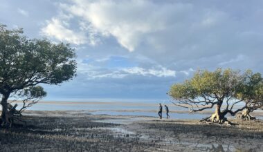 How Indigenous Protected Areas became a vital way to protect nature in Australia