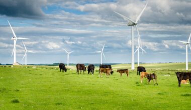 Australia needs renewable energy fast – but building it is only half the battle