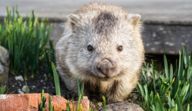 Your house may be a haven for wildlife. It’s time we design homes with nature in mind