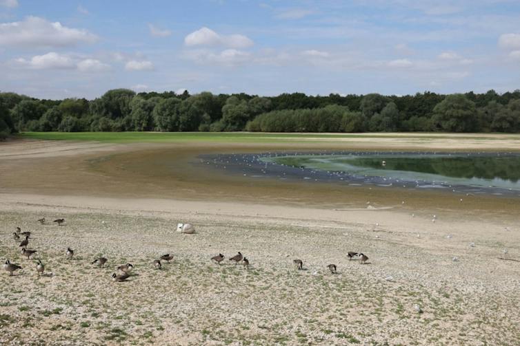 Dry reservoir bed