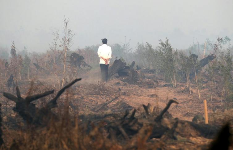 Man stood in burnt out remnants of wildfire