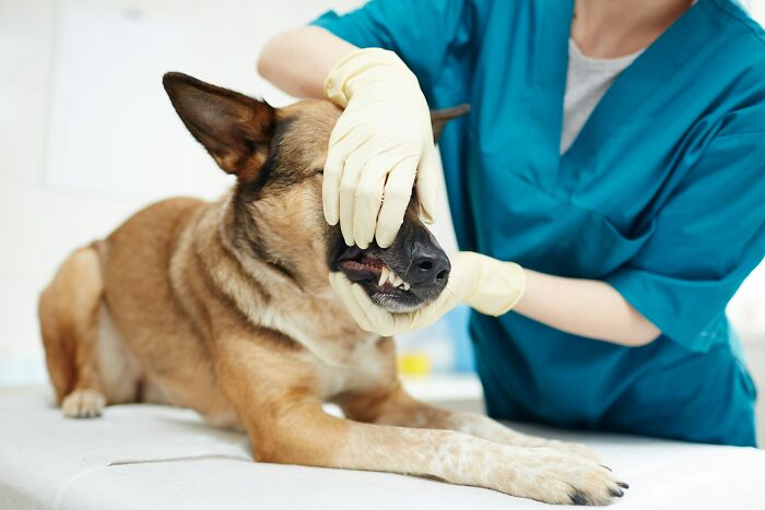Bemused Doctors Expose The Things People Most Commonly Lie To Them About (62 Examples)