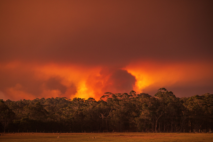 Out of control bushfire in Western Australia at sunset