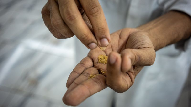 What is ibogaine, and what does it treat?