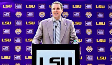 College basketball offseason winners, losers: Louisville, Will Wade, NCAA eligibility headline summer drama