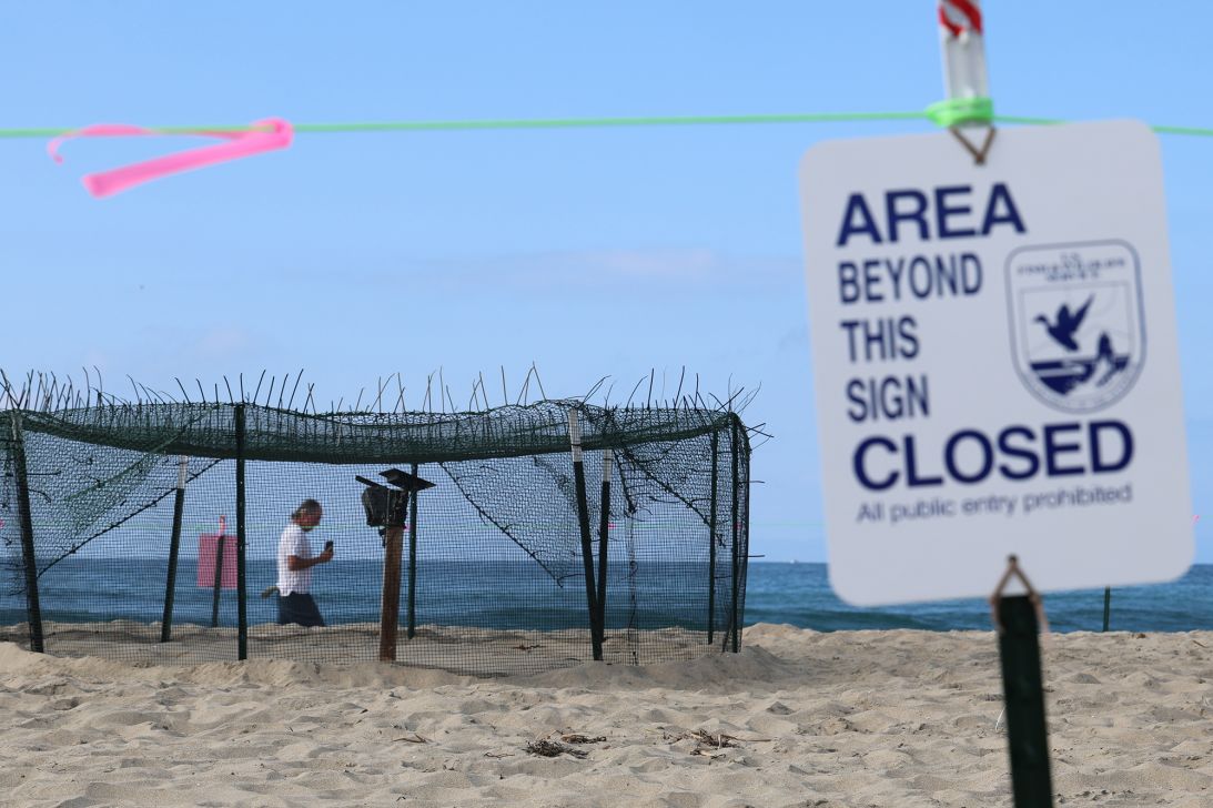 Two Orange County beaches have sections blocked from the public after a rare species of sea turtle was spotted laying and burying eggs.