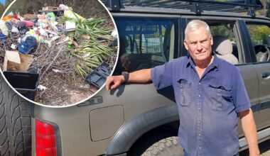 Call for free council vouchers to battle 'heartbreaking' issue spreading through Aussie suburbs