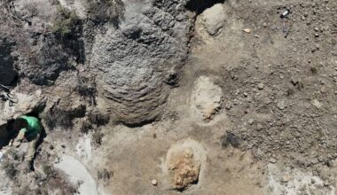 A teacher spotted two unusually large footprints. They turned out to be a first for science