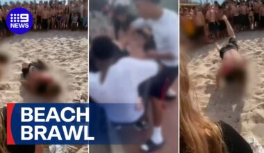 Watch 9News Latest Stories - Season 2026 - Violent brawls take over popular Adelaide beaches - 9Now
