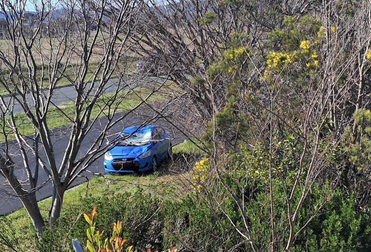 damaged car