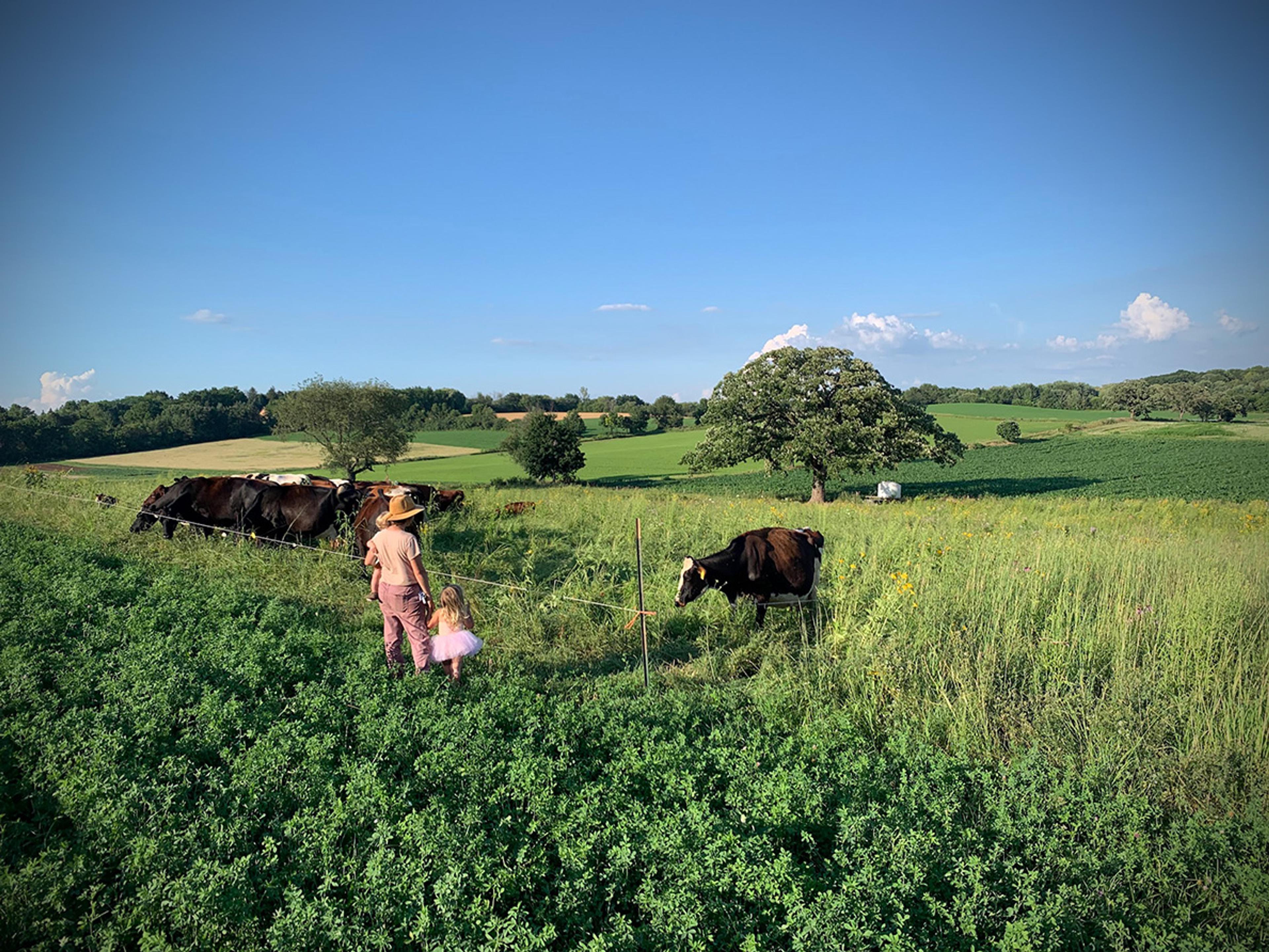 An adult and two children in a field with cows and trees under a clear blue sky.