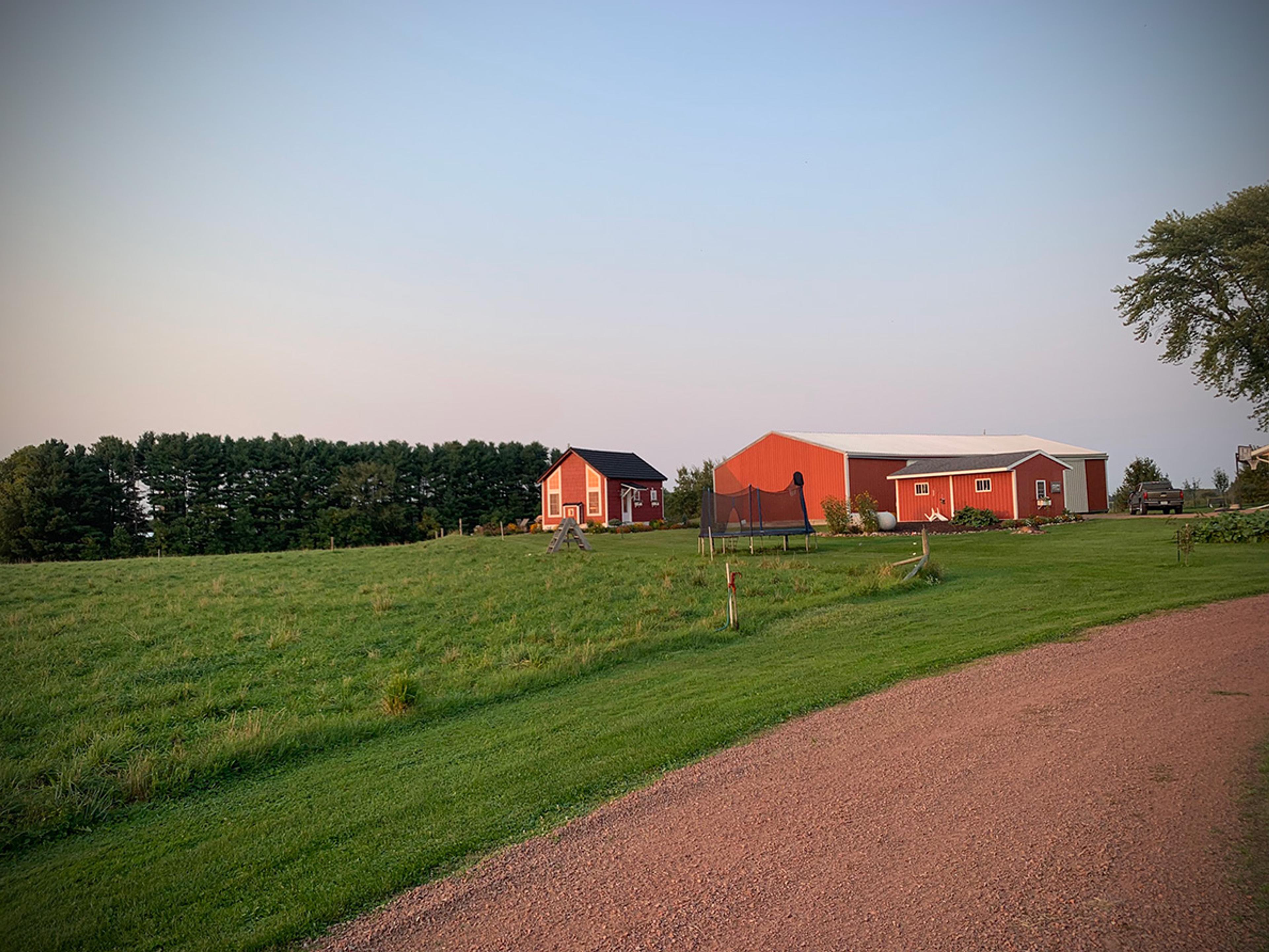 A rural scene with red barns, a grassy field and trees under a clear sky, with a gravel road in the foreground.