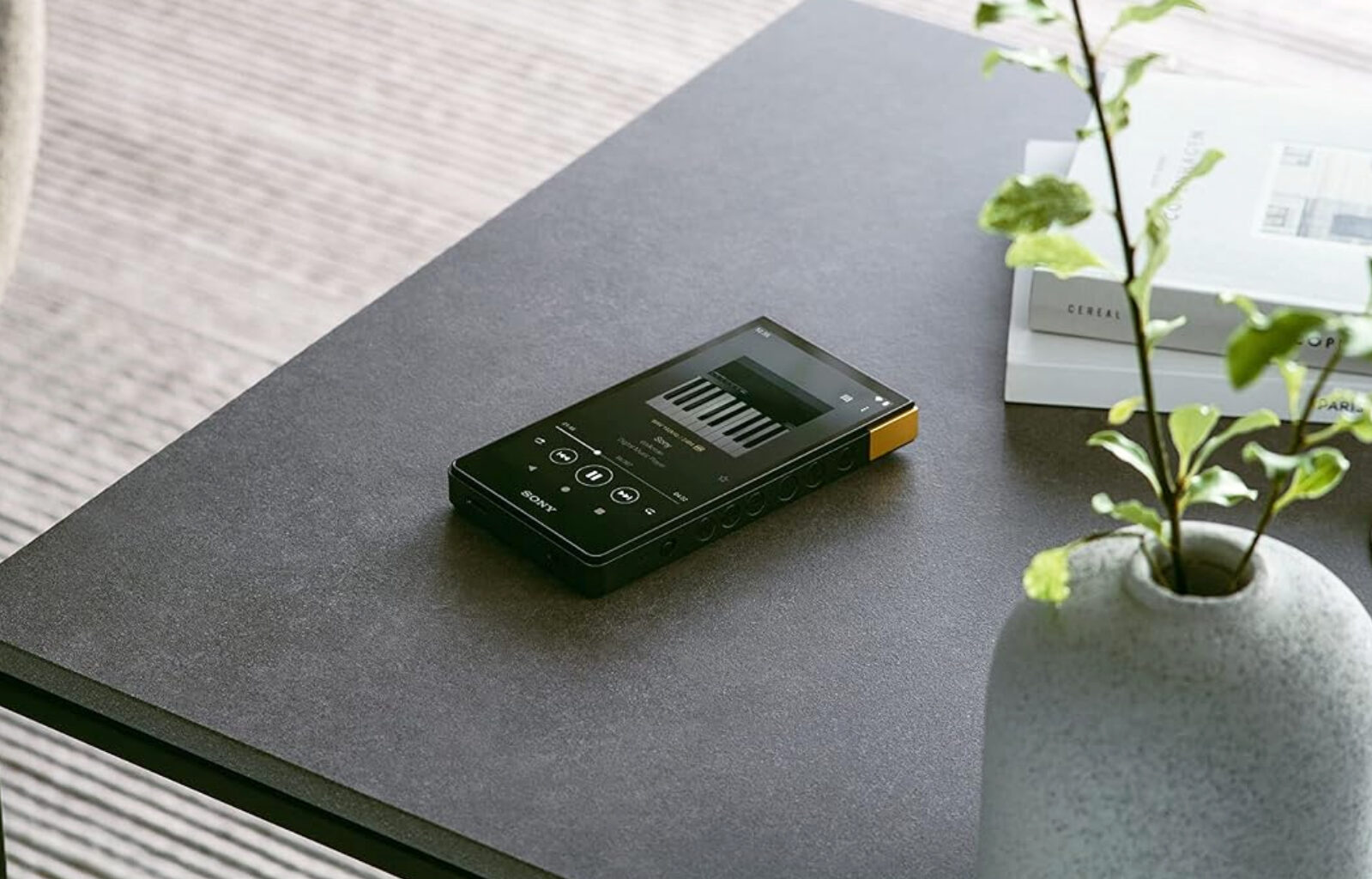 Sony Walkman returns with new Walkman NW-ZX900 audio player spotted