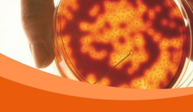 New research shows genetic changes were behind the kent meningitis outbreak | action needed to protect young people | News & Stories