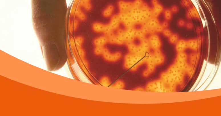 New research shows genetic changes were behind the kent meningitis outbreak | action needed to protect young people | News & Stories