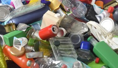 Recycling Mistakes You're Probably Making—And How to Fix Them