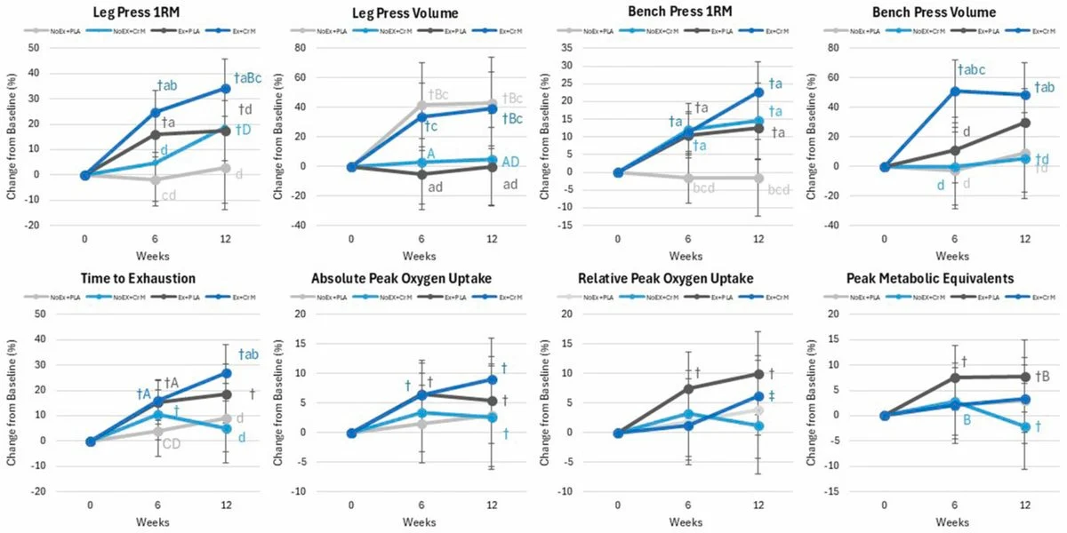 Common Gym Supplement Improved Strength Even Without Exercise in New Trial