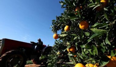 The US is buying more from South Africa again as farm exports hit $4.1 billion