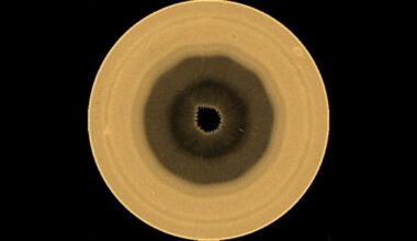 Astronomers Detect a 10-Sided Structure in Saturn's Atmosphere : ScienceAlert