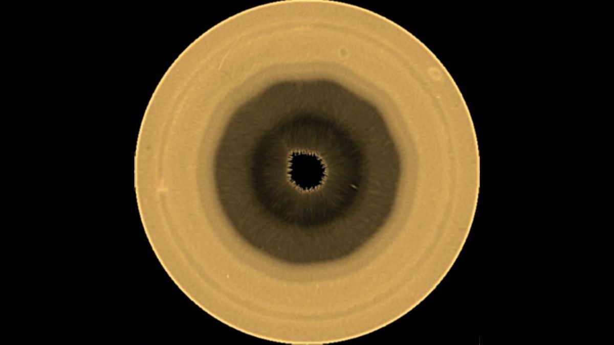 Astronomers Detect a 10-Sided Structure in Saturn's Atmosphere : ScienceAlert
