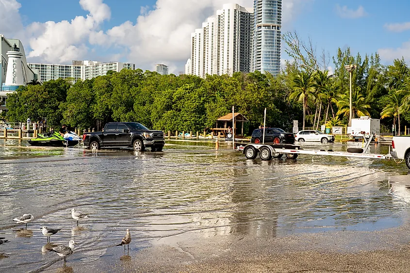 Flooding of a road during high tide in Miami Beach, Florida