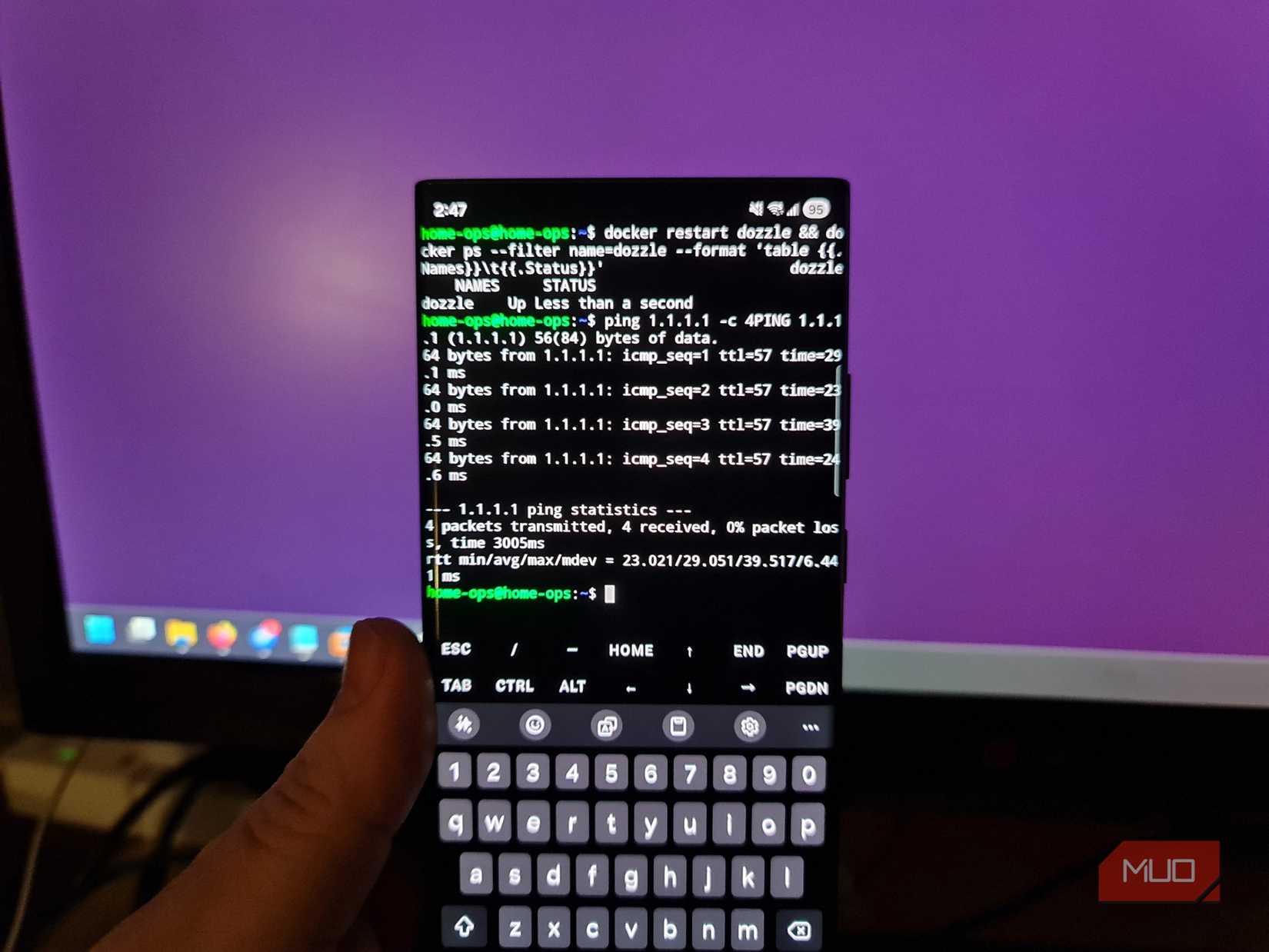 Termux on Android displaying the running Docker containers on a remote home server.