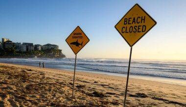 A Sydney beach in the morning with two signs, one reading 'Shark sighting' and the other saying 'Beach closed'.