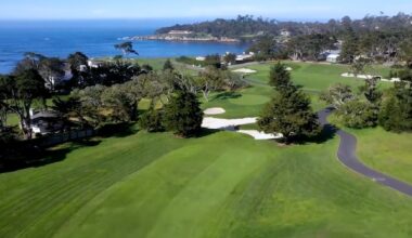 Pebble Beach defends removal of historic tree after social-media criticism – Australian Golf Digest