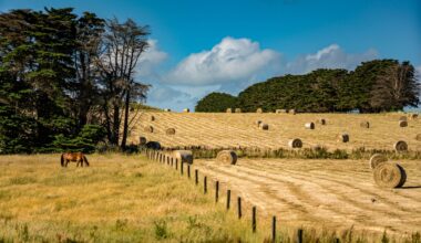Many Australians can't afford to eat well, despite living in a food-producing country. This farm in Victoria was photographed by Wai Siew on Unsplash.