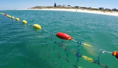 Quinns Rocks Beach shark barrier won’t be installed early despite growing safety concerns from locals