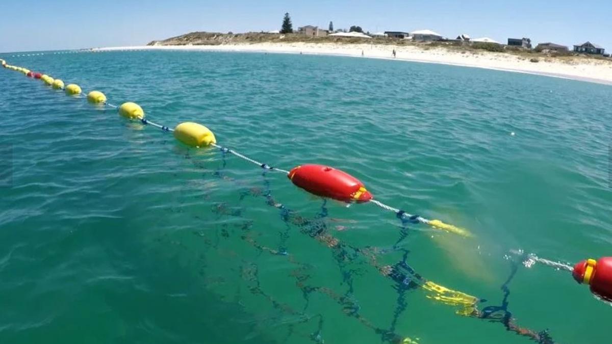 Quinns Rocks Beach shark barrier won’t be installed early despite growing safety concerns from locals
