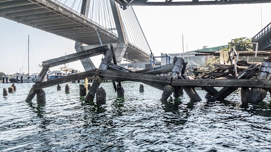 A dilapidated wharf under the Anzac Bridge. 