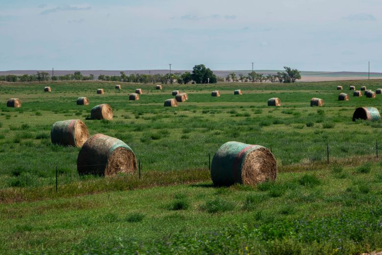 Hay bales dot the landscape around Hettinger, where farming is a key industry,