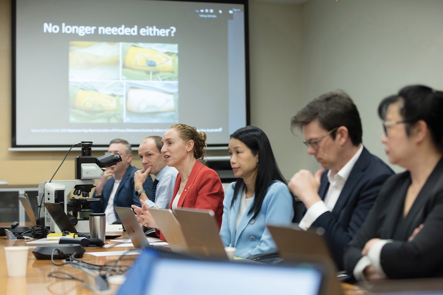 Georgina Long and colleagues sit at a conference table.