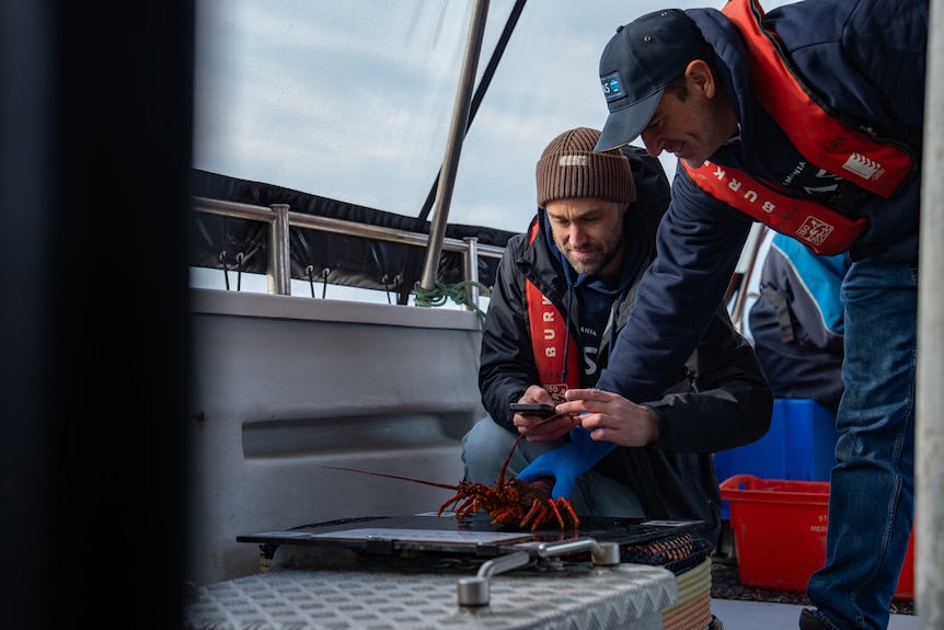 a lobster is placed on a black surface and a photo is being taken with a phone from above focussing on the lobsters shell