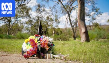 Alleged hit-and-run driver later bragged about having 'killed someone', court hears