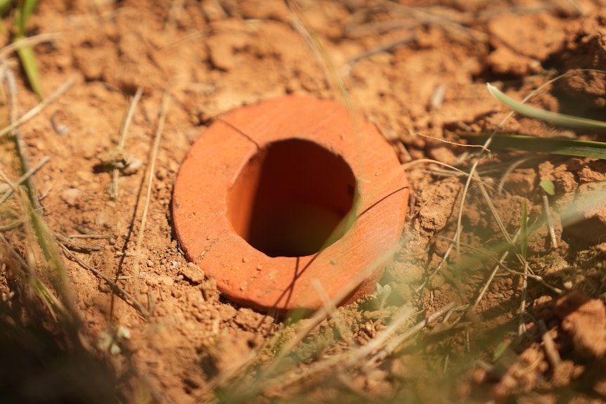 An open-ended terracotta pipe sticking out of a red dirt grassland.