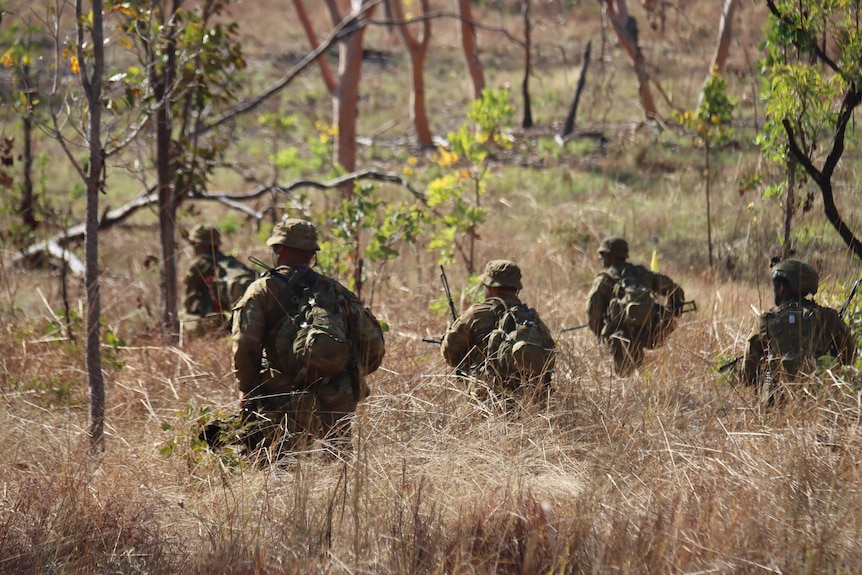 The backs of people in camouflage gear carrying weapons walking through scrub and tall brown grass