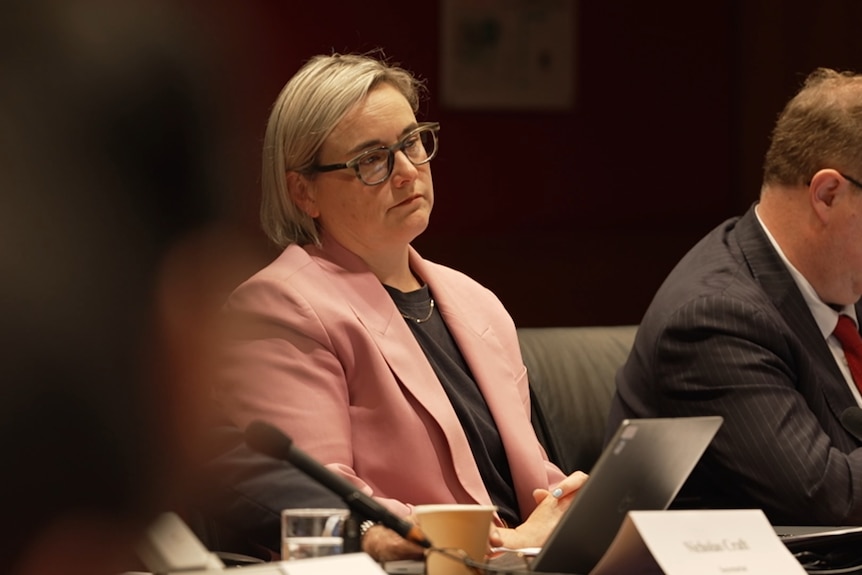 A woman with a pink suit (Jo Briskey) sitting and listening during a parliamentary hearing.