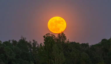Where & When To See October's Hunter's Full Moon Rise In Australia Tonight