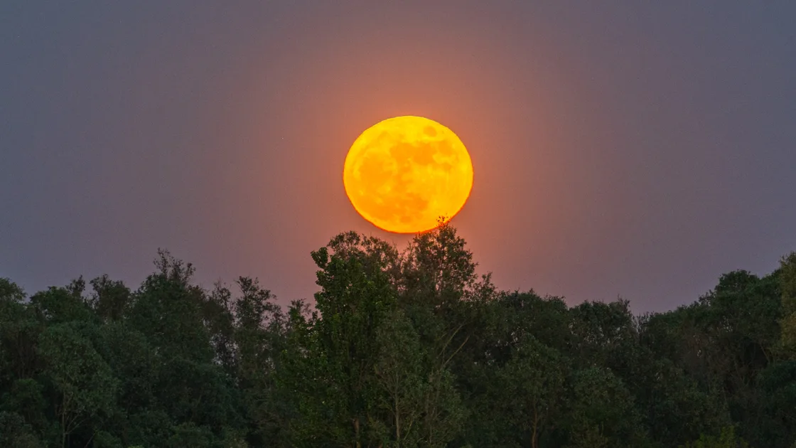 Where & When To See October's Hunter's Full Moon Rise In Australia Tonight
