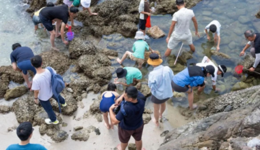 Greenpeace catches Hong Kong geopark ‘golden week’ visitors damaging marine life