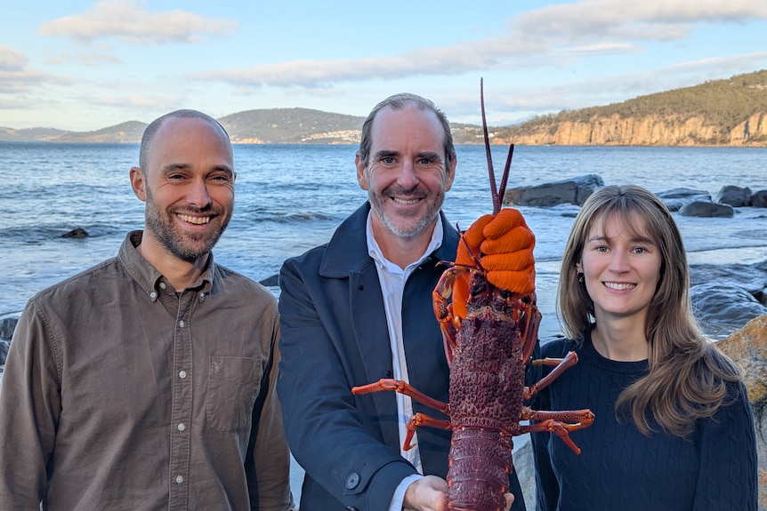 Two men and a woman smile while holding a lobster next to a body of water.