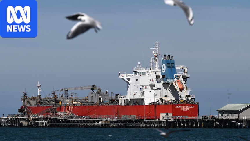 While fuel pumps ran dry, Australia sold megalitres of homegrown fuel overseas