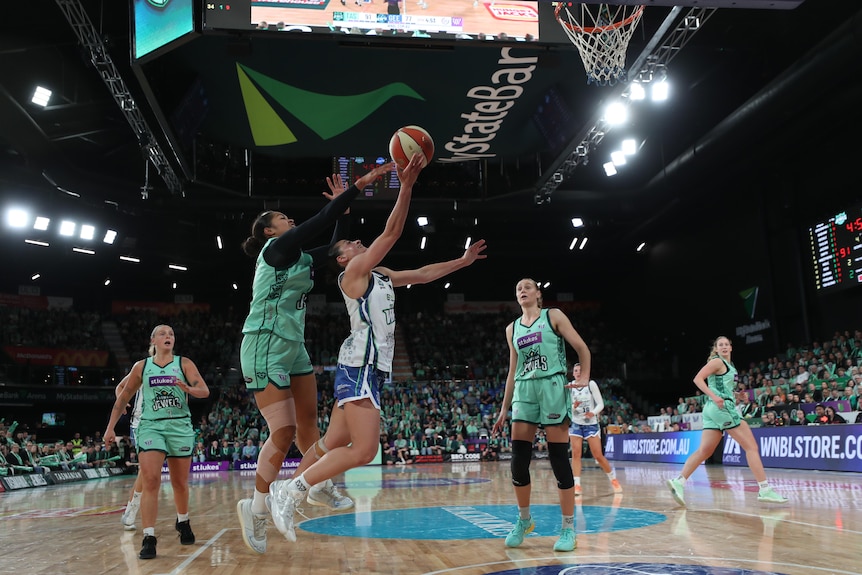 Maddison Rocci jumps with the ball and tries to make a shot at the hoops.